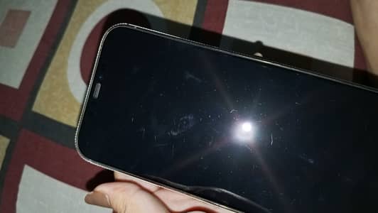 Apple iPhone 12 Pro Max