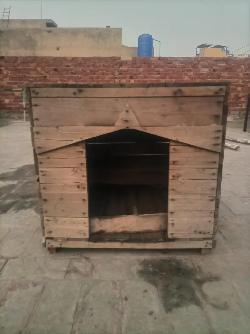 Hen Coop for sale — photo 6