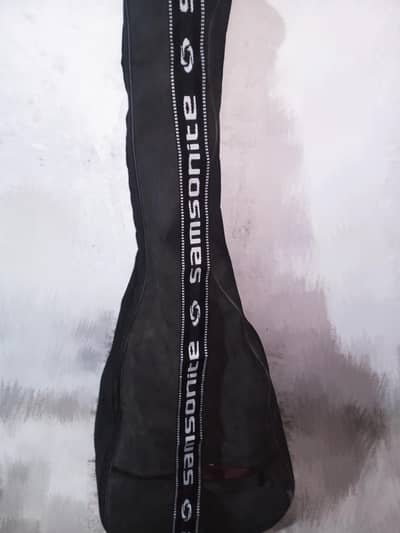 begner gitar
