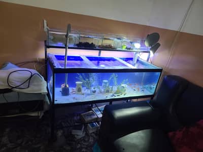 big aquarium