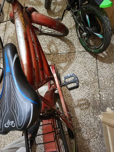 Bicycle 03235458226