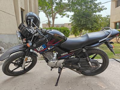 Yamaha YBR