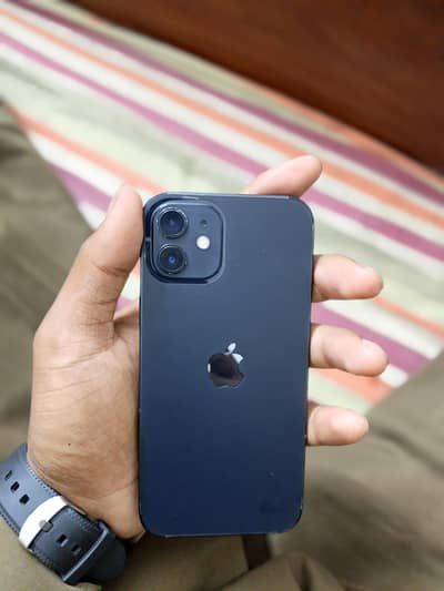 Apple iPhone 12 (64 GB )