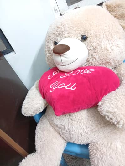 teady bear