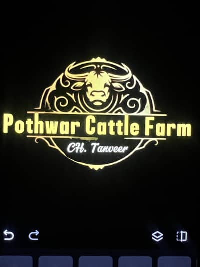Worker need for small sheep farm