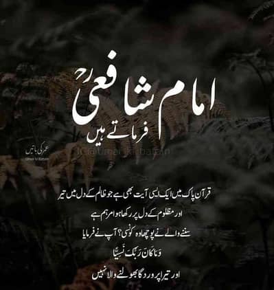 Umar hayyat