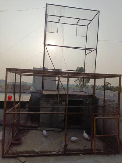 2 pigeon cage for sale