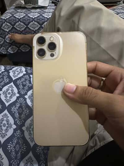 Apple iPhone 12 Pro Max