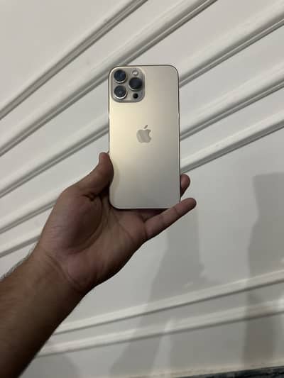 Apple iPhone 13 Pro Max