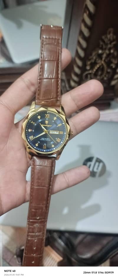 POEDAGAR Luxury Business Man Wristwatch