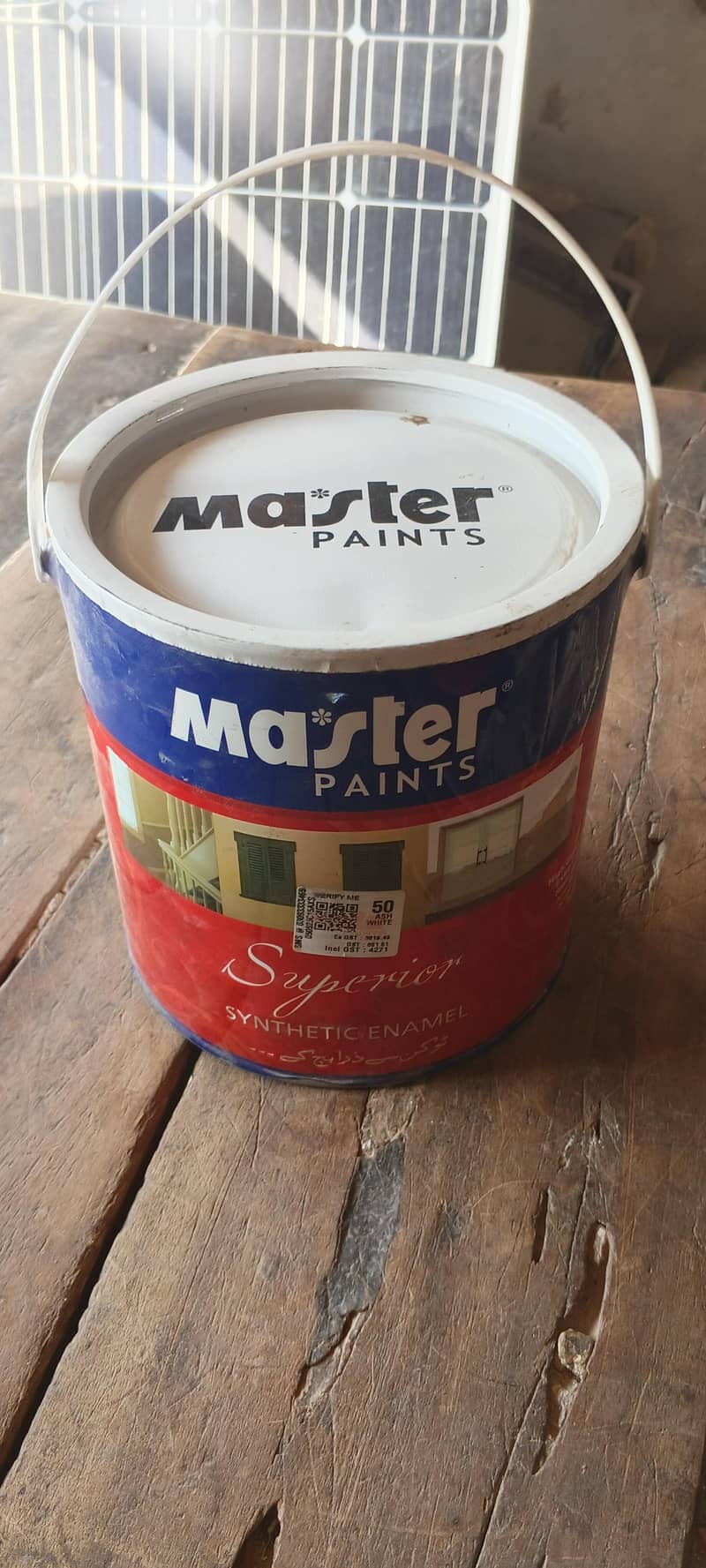 Master paint 1