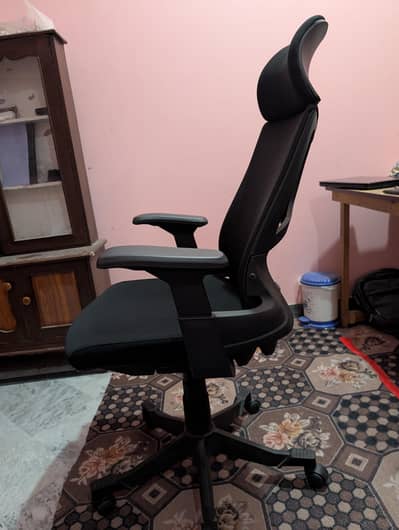 Boss B545 Skeleton Chair