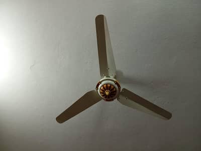 calling fan acchi condition