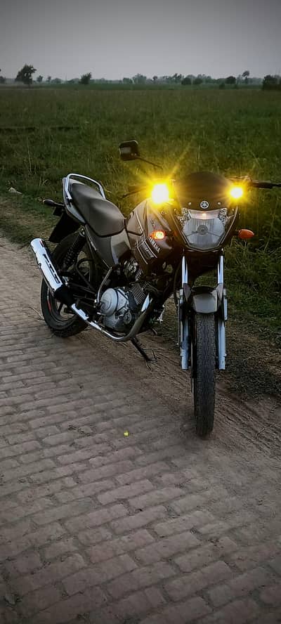 YAMAHA YBR 125
