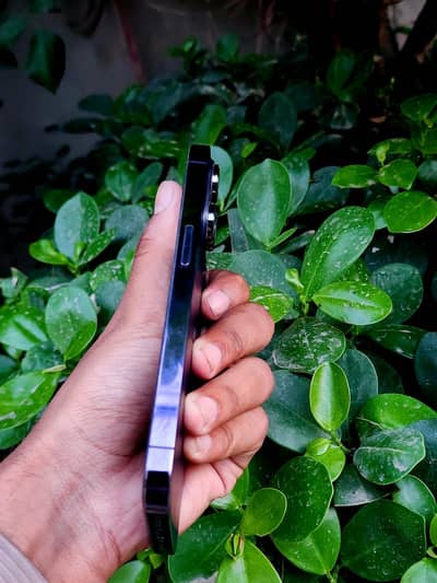 Apple iPhone 14 Pro