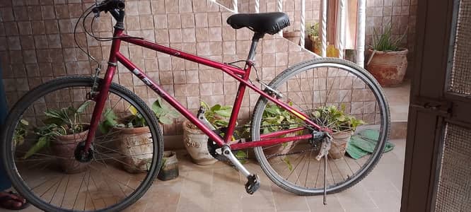 Gear bicycle in Reasonable prize