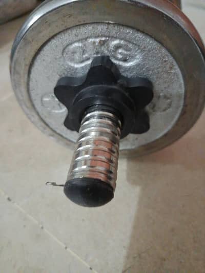 dumbbells 4kg each