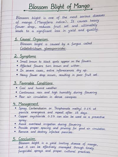 I'm professional in Assignment work