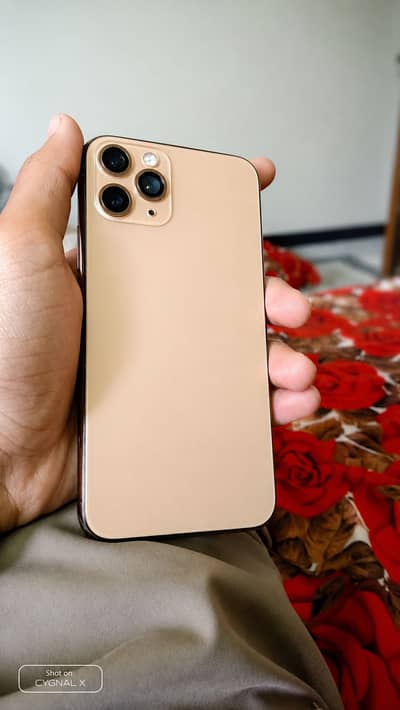Apple iPhone 11 Pro non