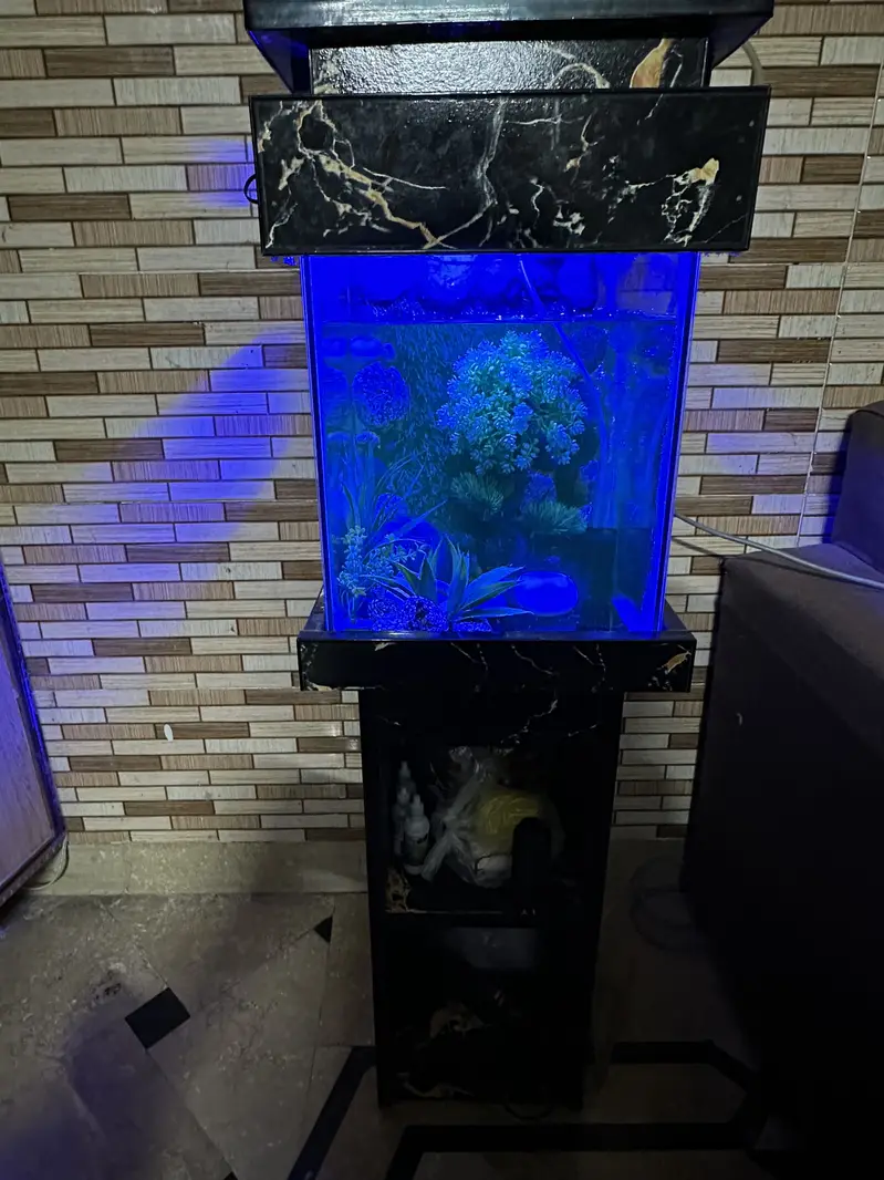 Fish Aquarium | Fish Tank | Aquarium — photo 2