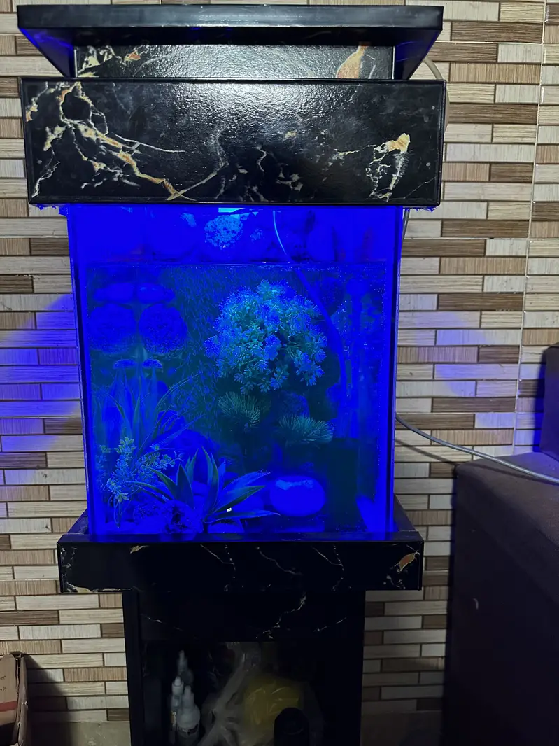 Fish Aquarium | Fish Tank | Aquarium — photo 3