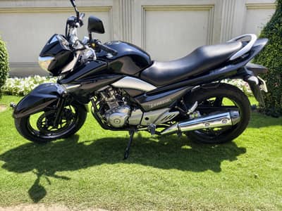 Suzuki Inazuma 250 Japanese