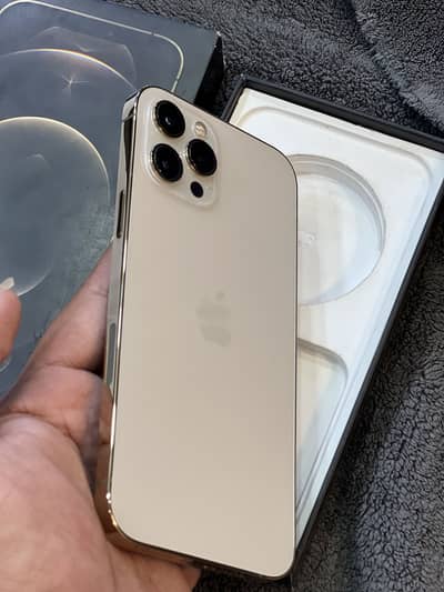 Apple iPhone 12 Pro Max