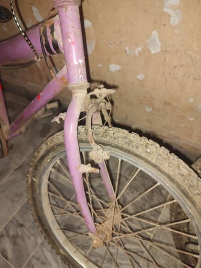 cycle