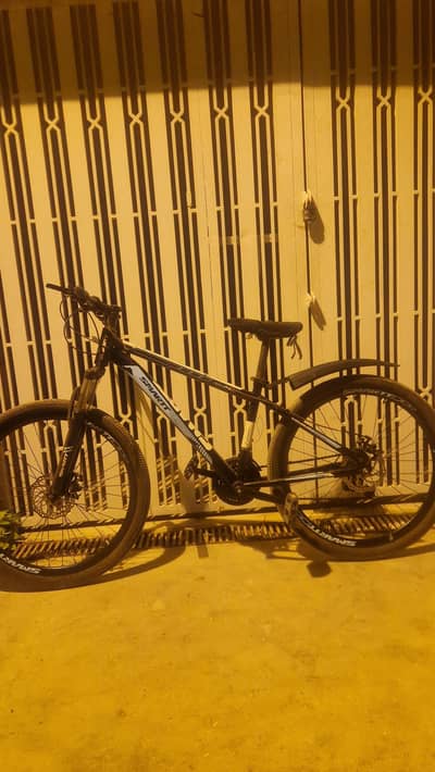smart  Japanese cycle