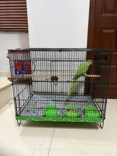 CAGES FOR SALE