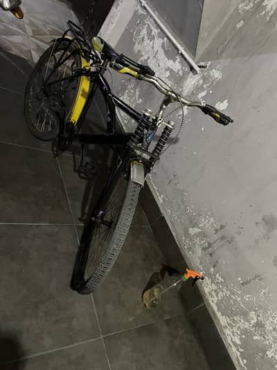 26 size cycle