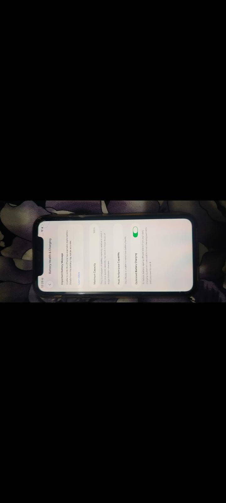 Apple iPhone 11 0