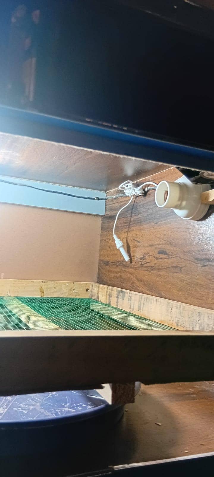 only one time use 6