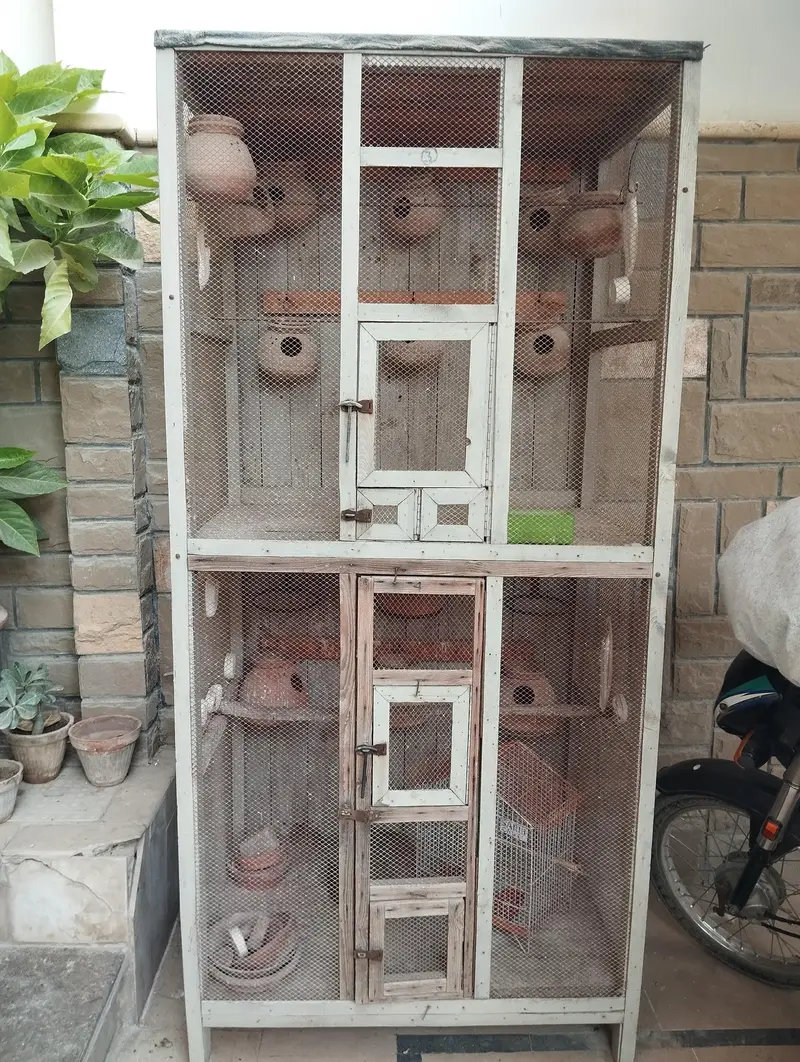 pure wood cage