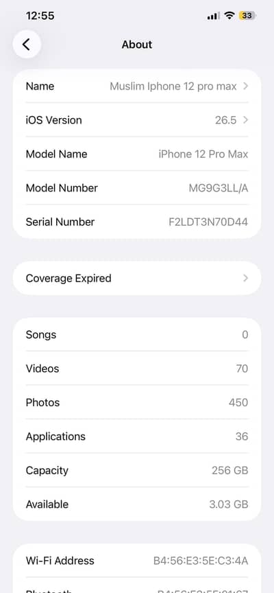 Apple iPhone 12 Pro Max