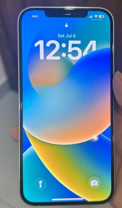 Apple iPhone 12 Pro Max