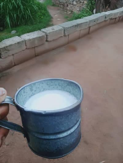 Shop Keeper for Milk shop