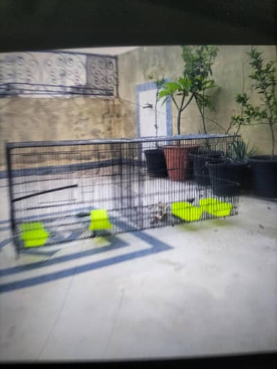 best cage with low price with good condition