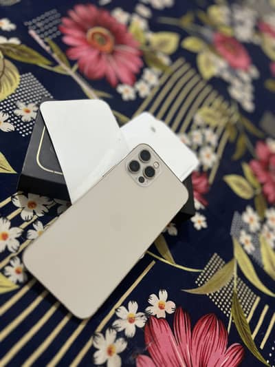 Apple iPhone 12 Pro