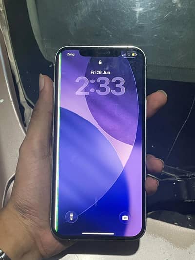 Apple iPhone 12 Pro Max