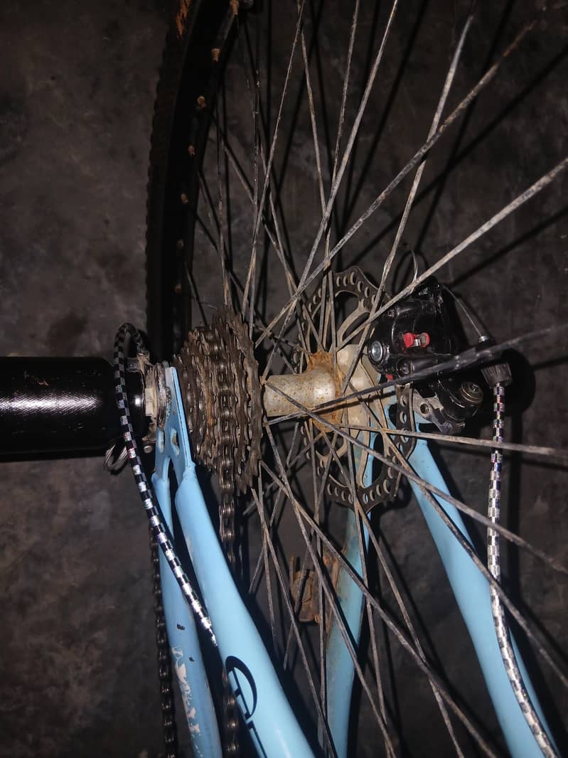 bicycle 0