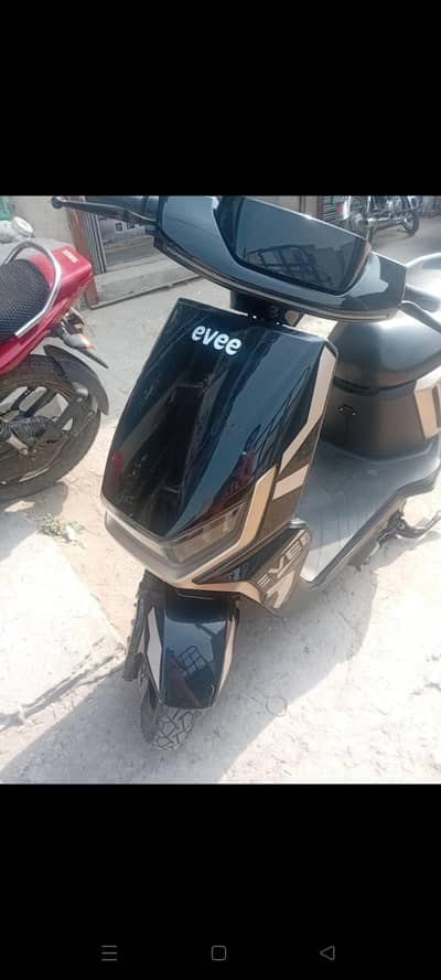 evee g nz