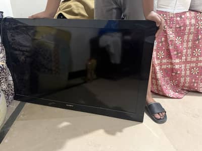 Sony led