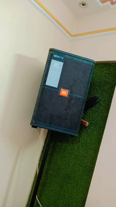 Professional 12" Floor Monitor / Top Speaker Pair – For Sale