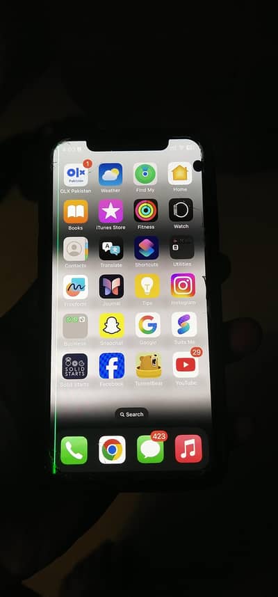 Apple iPhone XS 256 gb pta