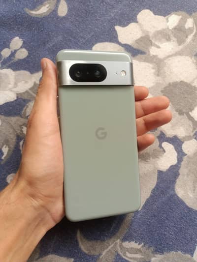 Google Pixel 8 official PTA approved