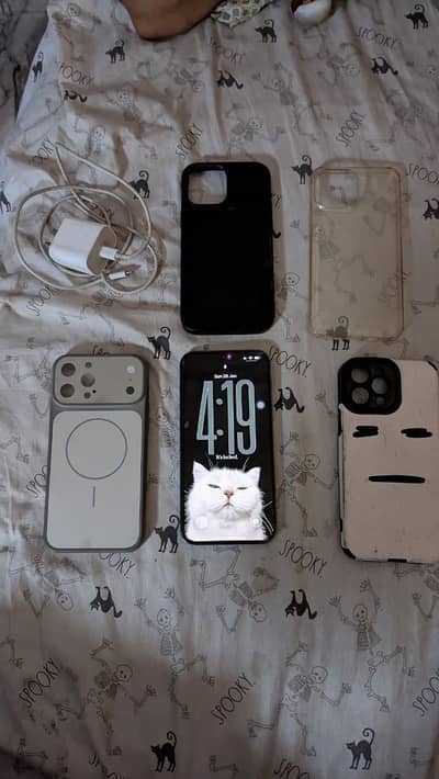 Apple iPhone 13 Pro Max