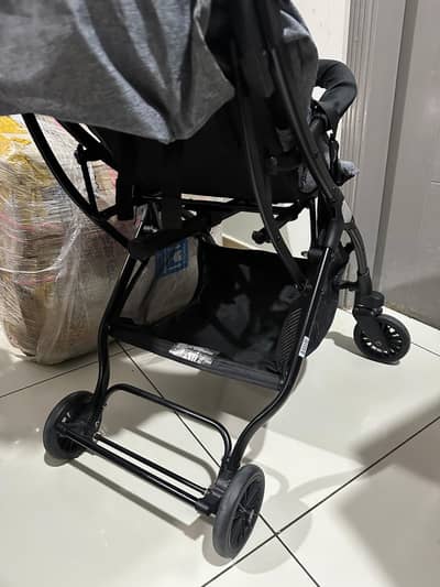 baby primr