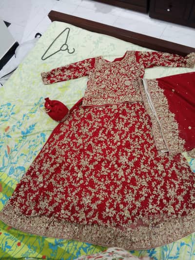 Bridal Dress For wedding Fresh Red color