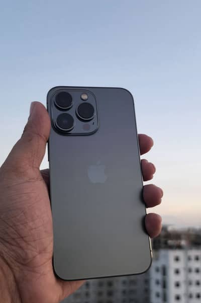 Apple iPhone 13 Pro Max